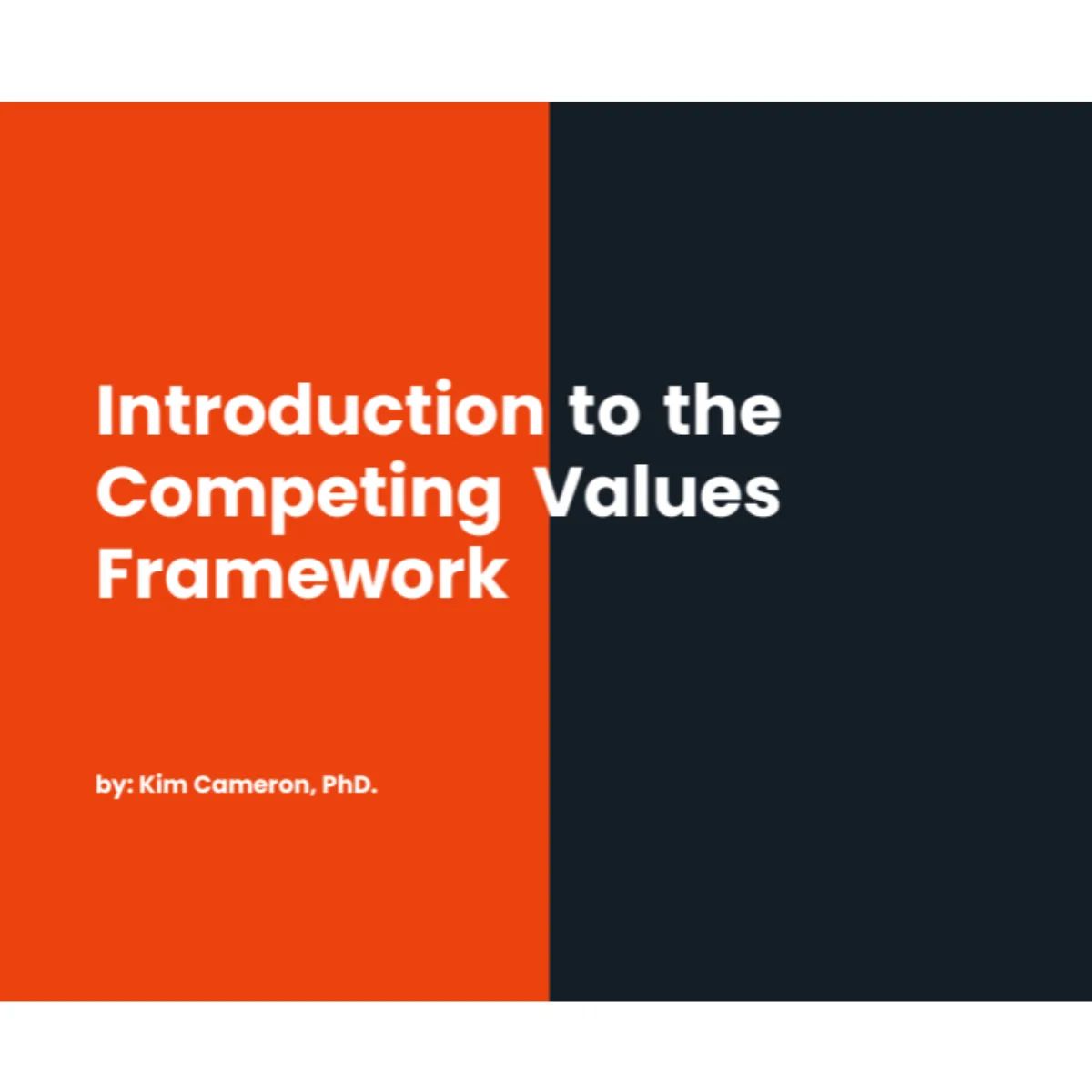 Introduction to the Competing Values Framework